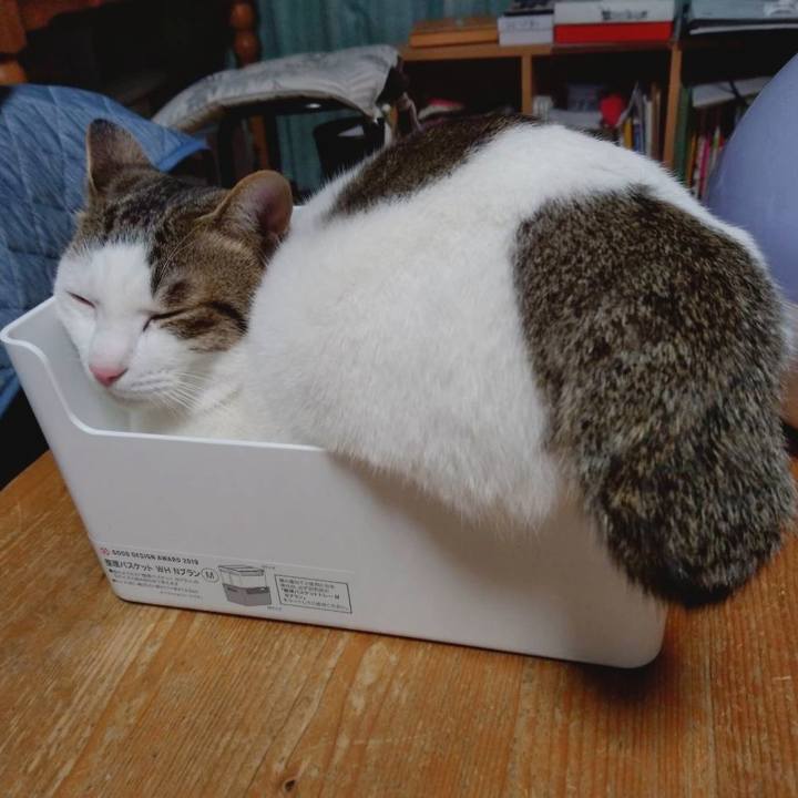 4746b6d9 de9d 430e af33 22c4cbd477ed 1669630431737