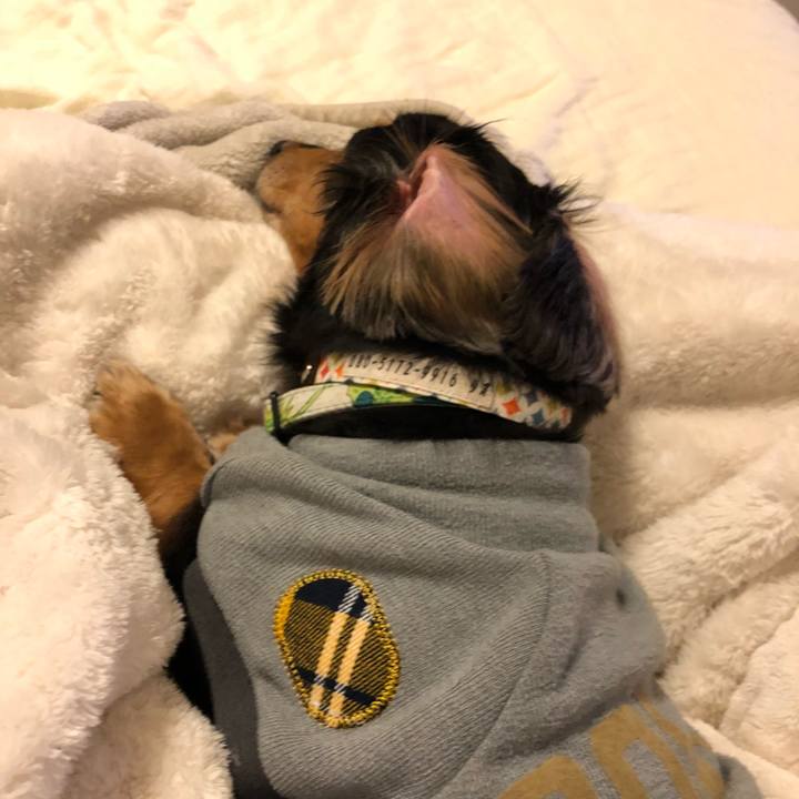 4746cdc5 d97d 4a7e 85be 55d4180a3fcb 1544100770071