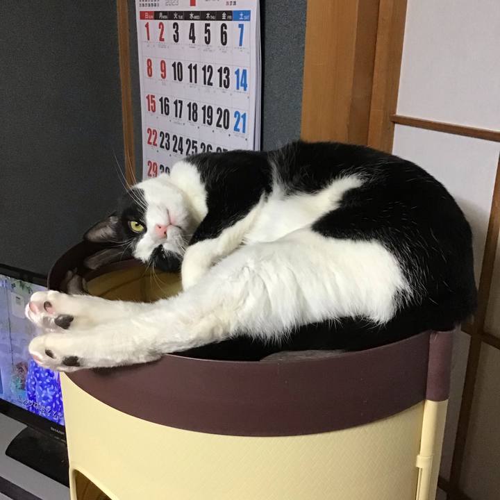 4746e77b 6f67 4c06 892e 792b3bcf1595 1672753889408