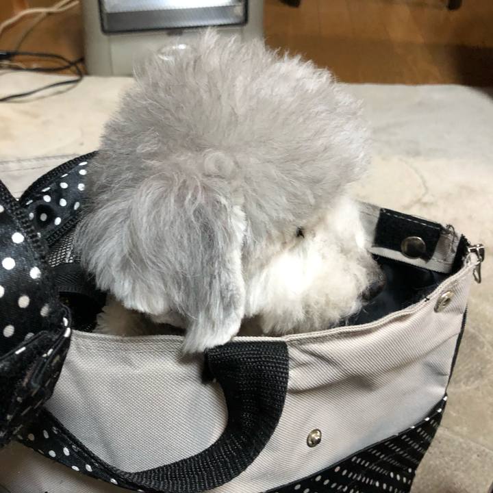 47472461 ff6f 4cbe ba6b 17b7f0bea170 1610065795289