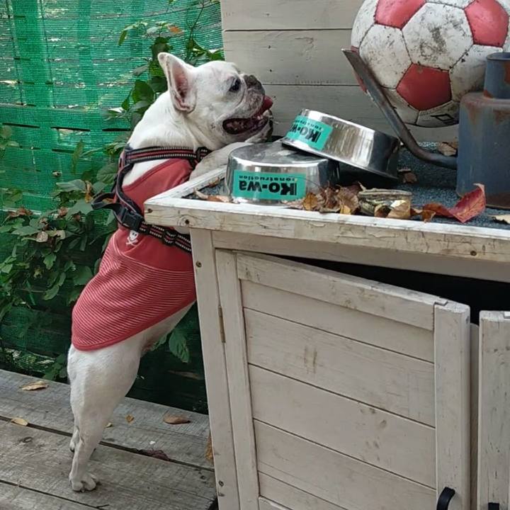 47473b16 e38b 4e88 8de4 6fa0c35865a9 1669972926029