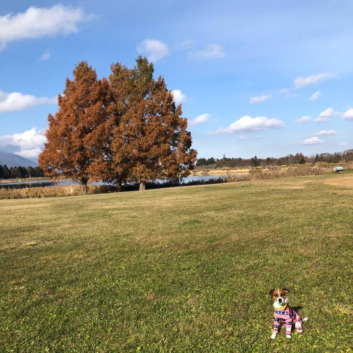 474758b3 fe18 49b7 b507 4b717d78f80a 1542521946076