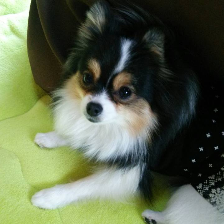 4747677e 0612 4890 bb80 ae59738939b1 1511910568428