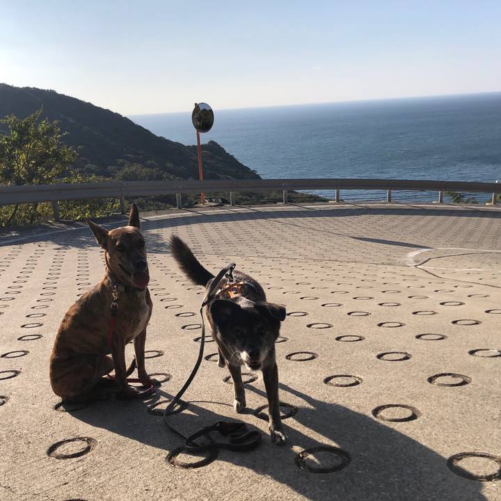 47477748 2b46 42cf 8f01 0a34ebd926df 1668132764421