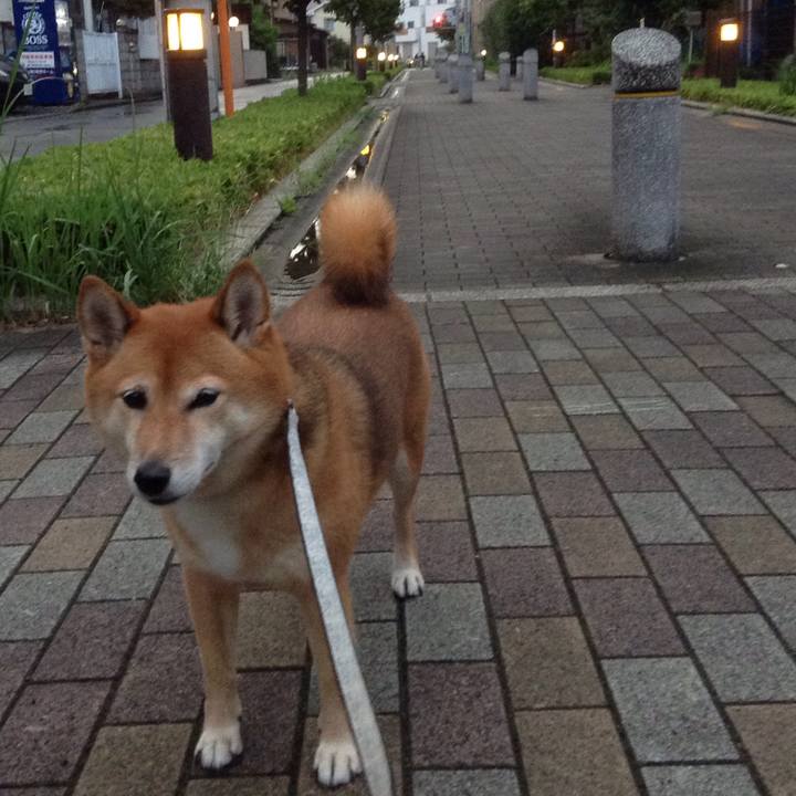 47479e19 f8c0 4fa5 a952 c2fea3a63f20 1534066908703