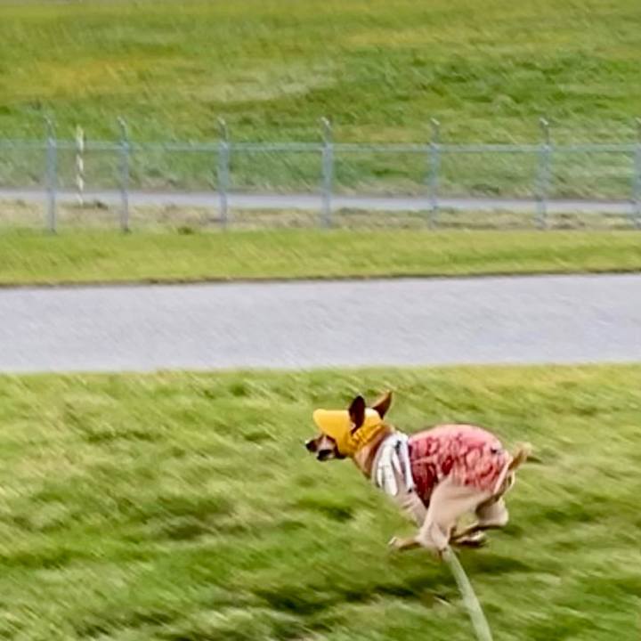 4747bcbe b5fa 4567 9206 3ae3481c557d 1700561827982