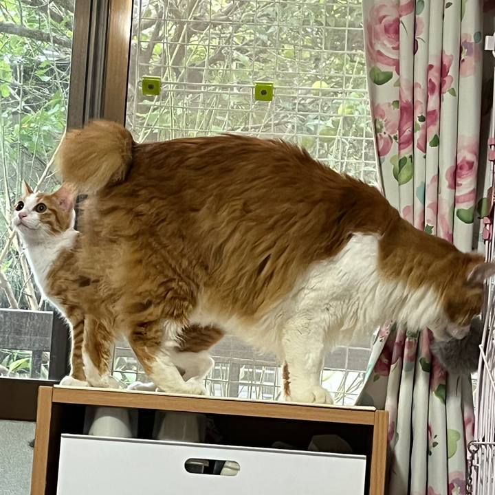 4747cb70 cc62 4089 a78c e570e1d41a31 1635577213731