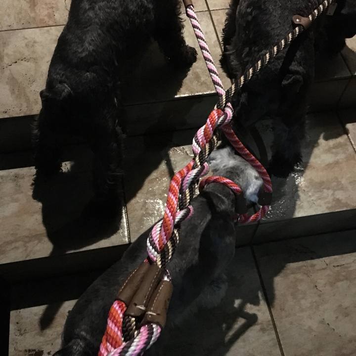 4747f693 95a2 4163 8ad2 f45b1f8abbac 1508058821727