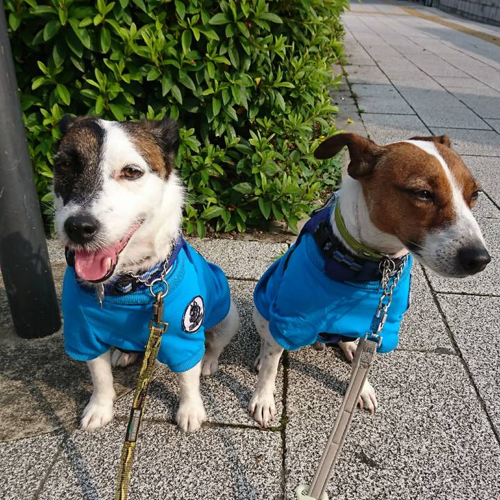 47480de6 f079 48c2 b426 d5dca6526633 1591310019590