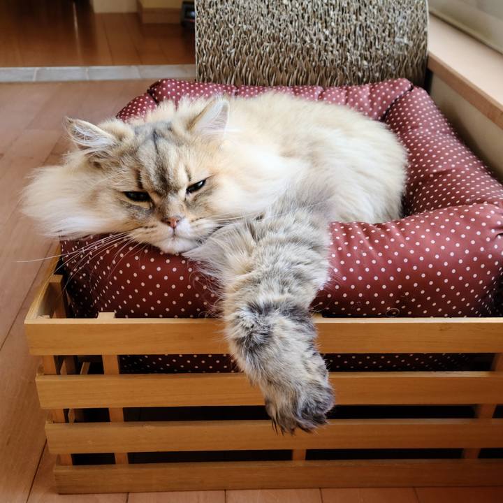 4748156b 1a09 4c2f a818 cc2a63e316c7 1638259595083