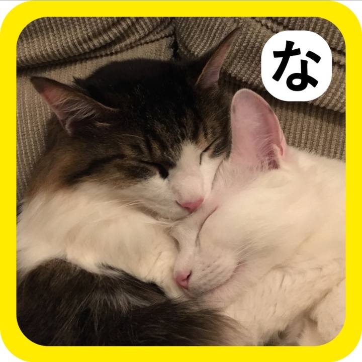 4748182b 56c8 4d5d 8968 3334a05b8b7f 1514815250819