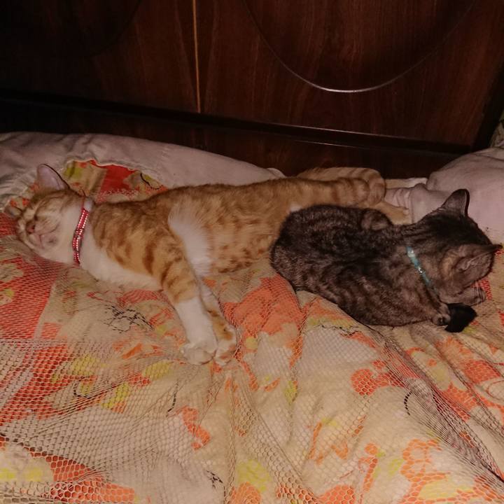 47481f24 dbf8 4bde a77c fc71bb860e72 1570722779813