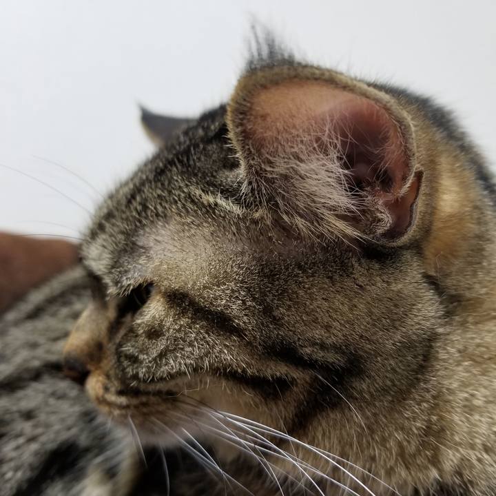 474822bb 1047 4821 b394 71984fa73f43 1611782783368