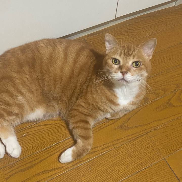 474830e2 3b76 4481 9e49 8707b0f5d61b 1718895390190