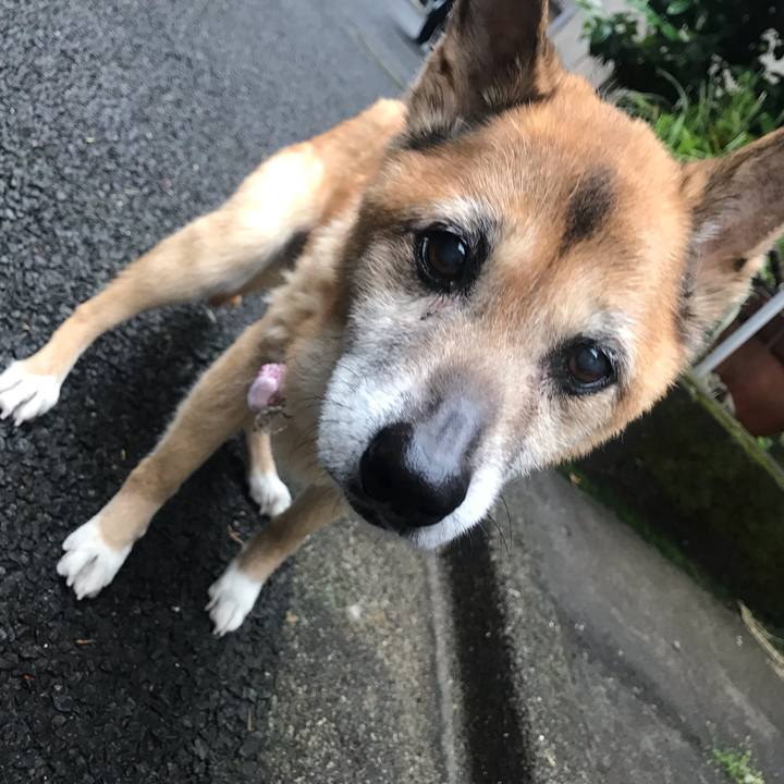 47485fd4 c9b2 4b3e 9b03 1ac00affaacd 1559081306218