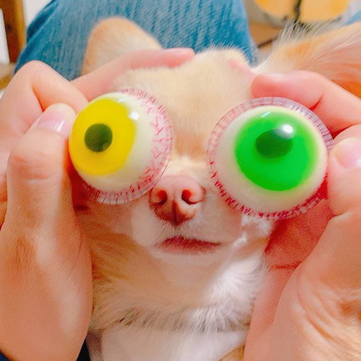 4748866d dea7 46e9 853d 65c1382350a1 1634439156176