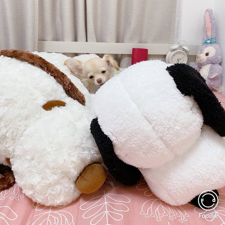 47488aaa 0afd 4198 b0b6 4cc7c2a5e39e 1597891017438