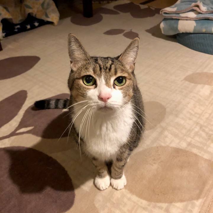 4748ba46 152e 4ba2 894b 5ed5d5a86541 1732005294109