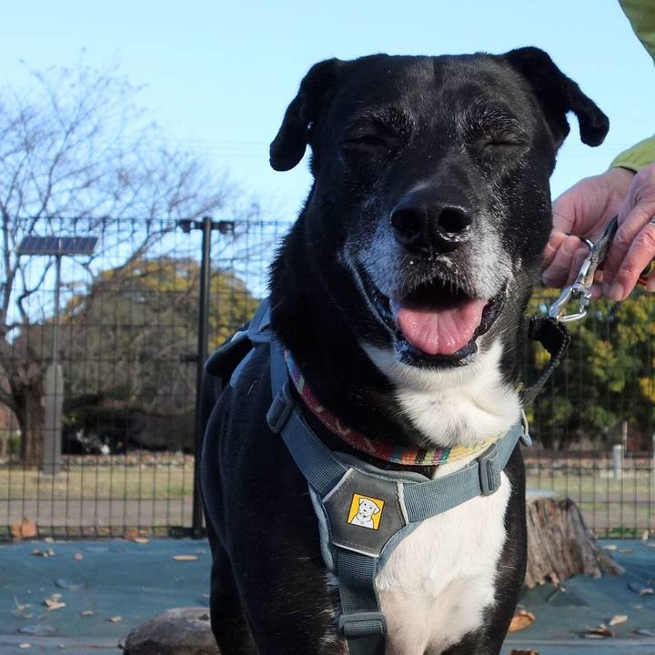 4748c9b9 b3a6 4142 8e09 22bef1298c44 1732409625044