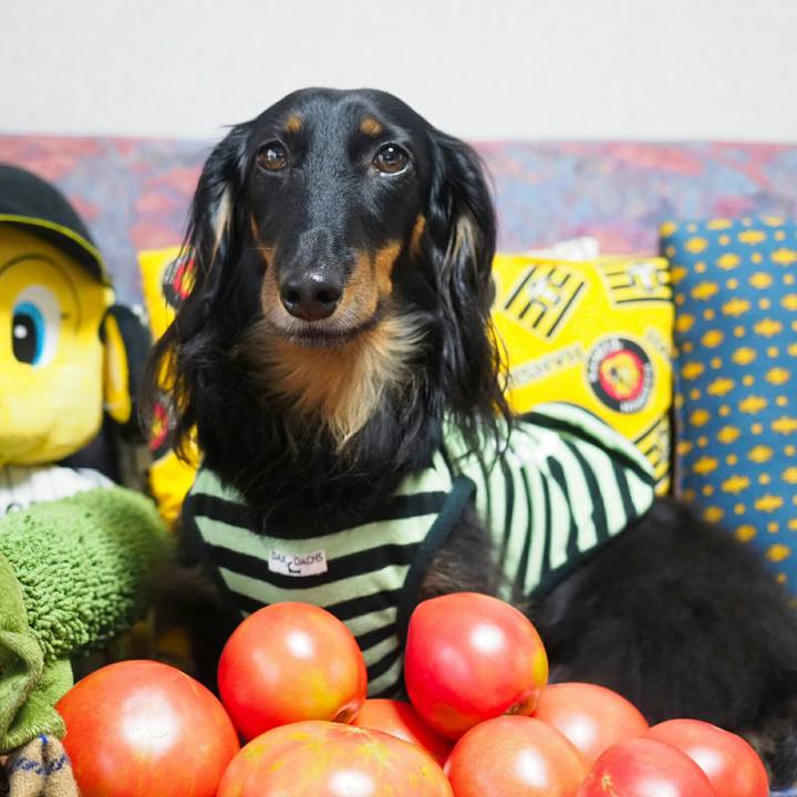 4748dd20 f1fd 4923 b9c7 3db1856359dc 1530149054452