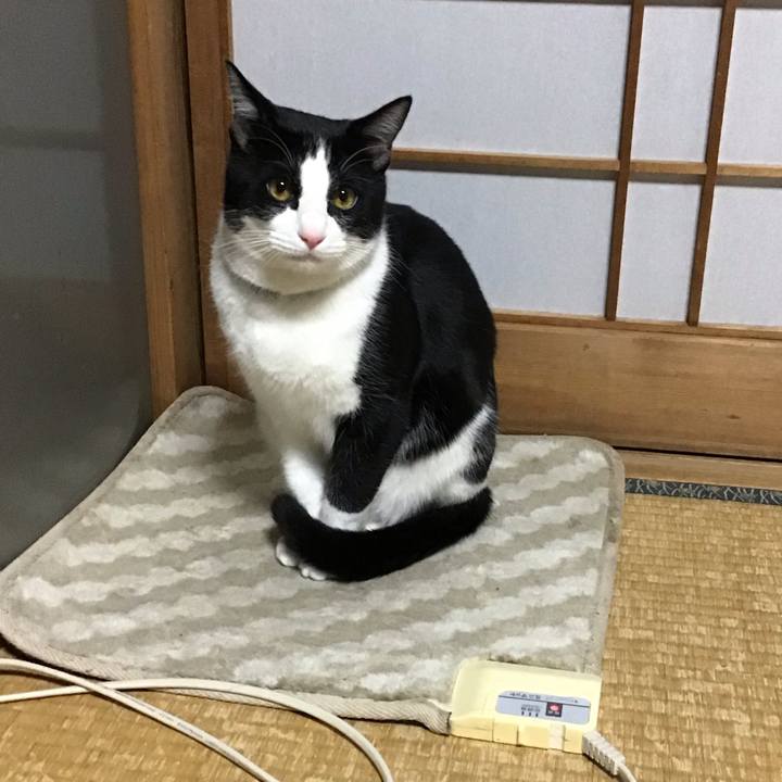 4749387c 9d83 4a60 b84b aa249c0e3604 1645094847211