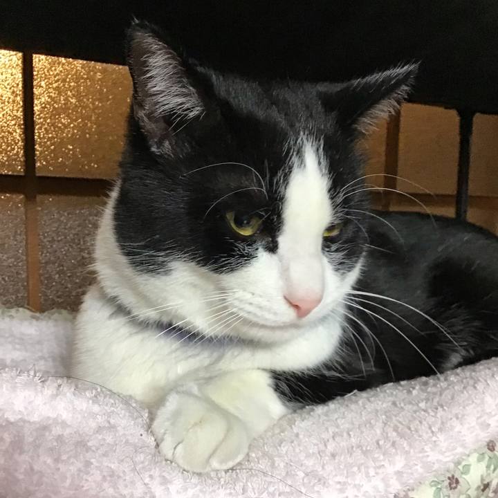 4749777a ae29 42c6 8bc2 d75e34457d9d 1672232639857