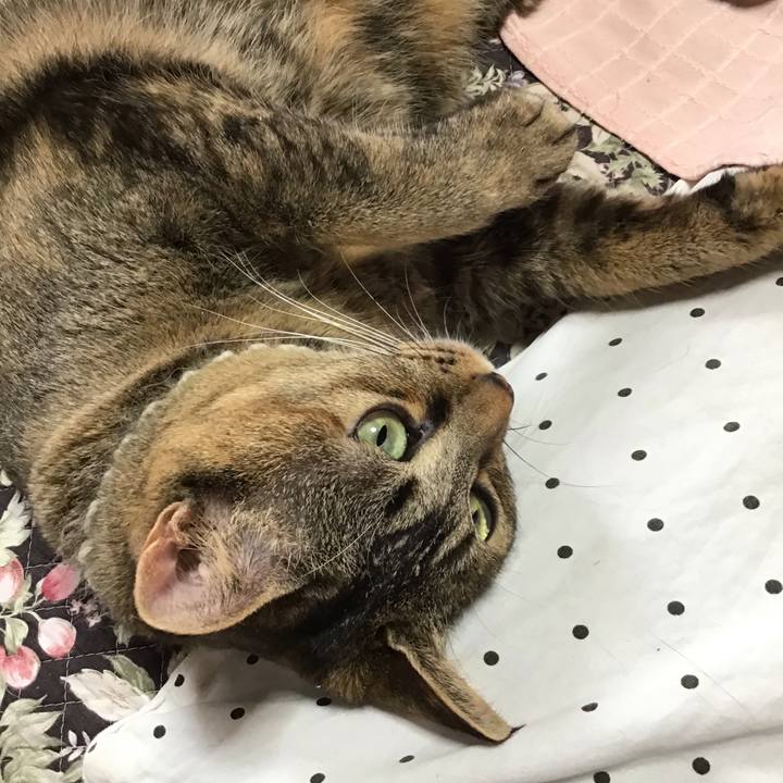 47497e55 48db 4d79 9716 449aa40e9d9e 1647650955429