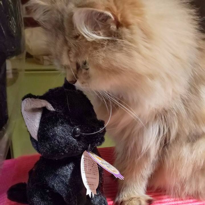 4749884c 0045 4599 818d 86827426e528 1600868183934