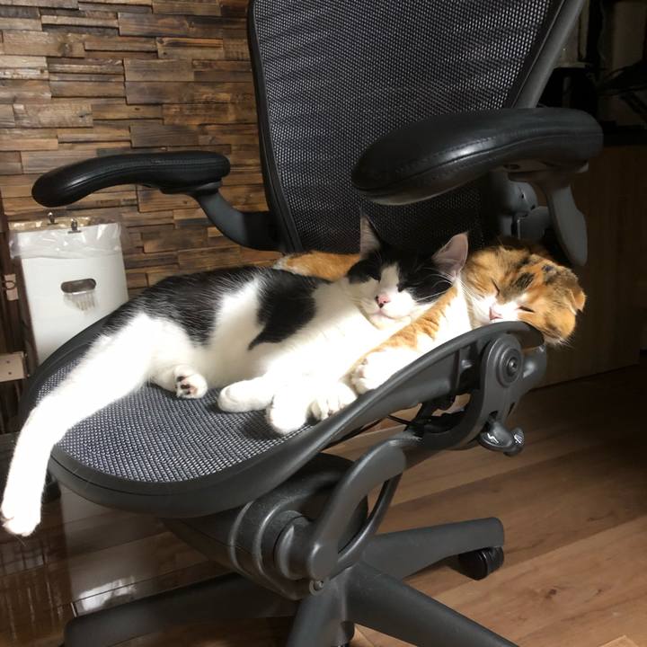 47498a98 ed87 427d 9a27 61fbdaeaf5c8 1623857121522