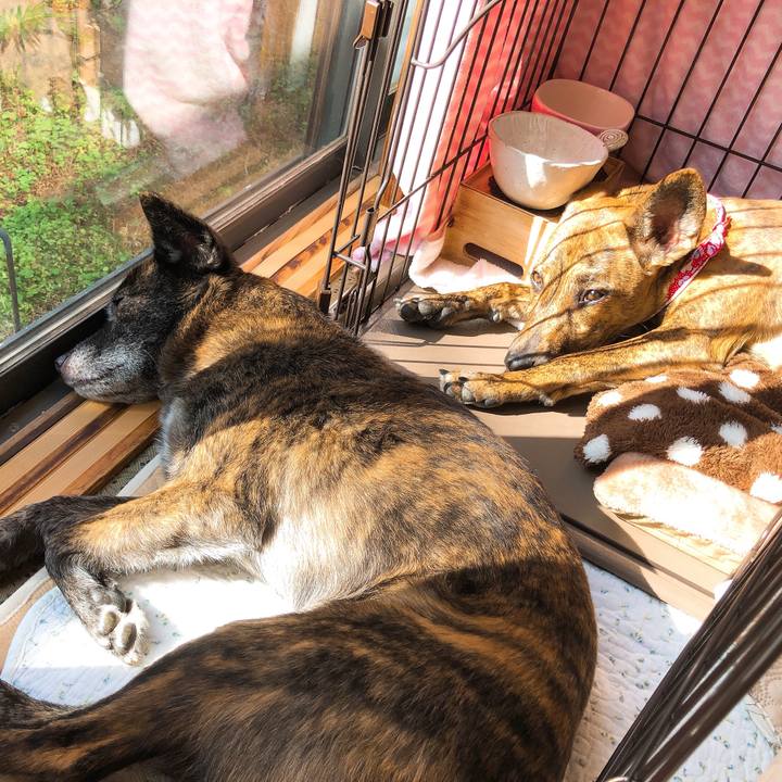 4749a7e8 0725 4bc0 887a 881024291c19 1579579697636