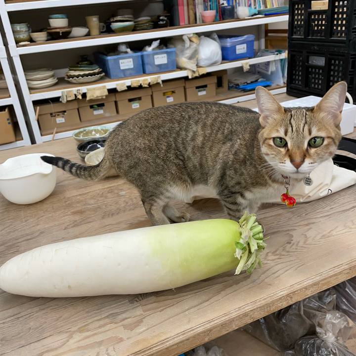 4749e710 97c1 4d75 9b47 6b74536efec8 1676802670177