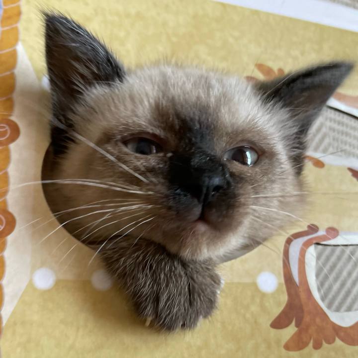 474a5385 b294 4b2e 920d b264960430f6 1687946115293