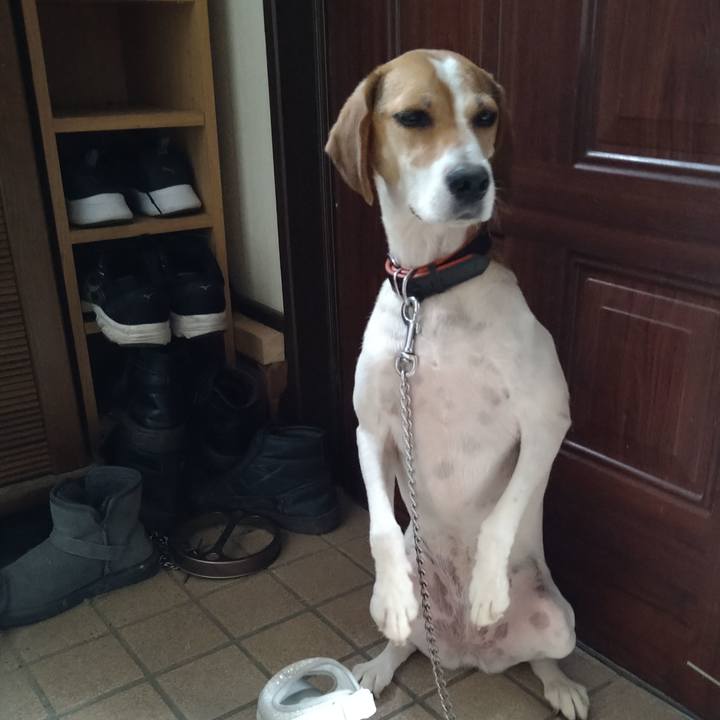 474ab12a 38d6 4245 a679 2e4778522ef5 1629953004397