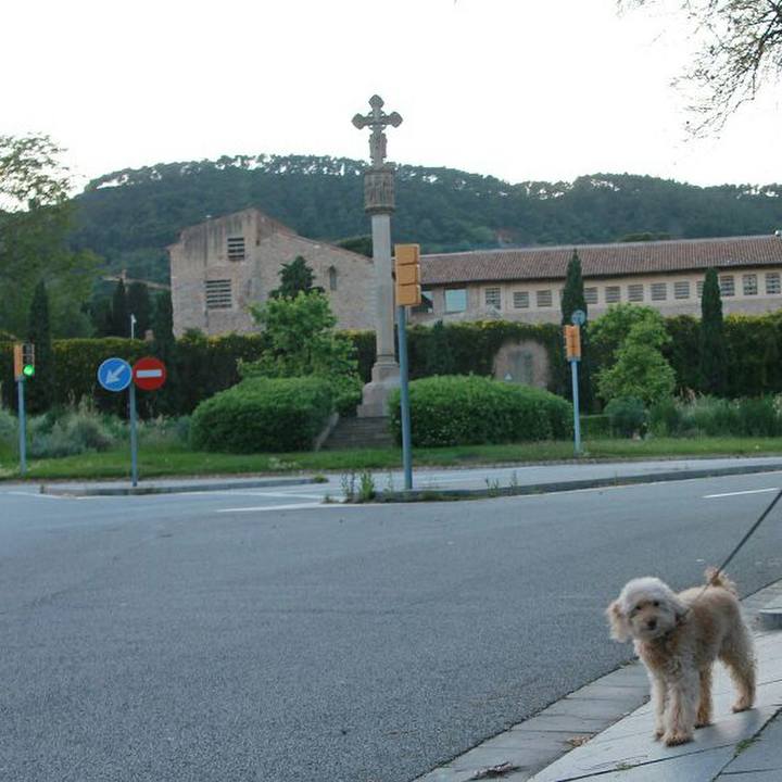 474affa5 52a5 4818 8e77 a38417e90c20 1588457000809