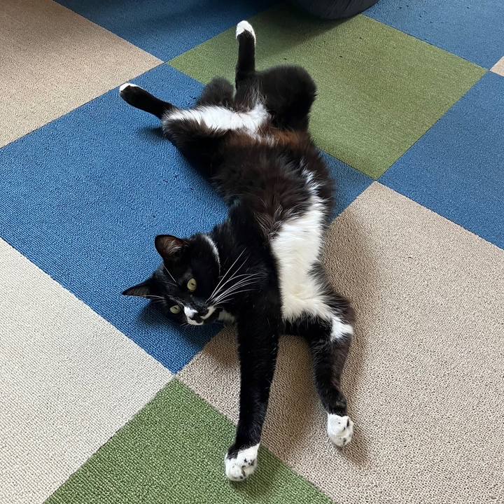 474b155a 77bd 47f3 92a0 3dfcc1e8a8b1 1690168571194