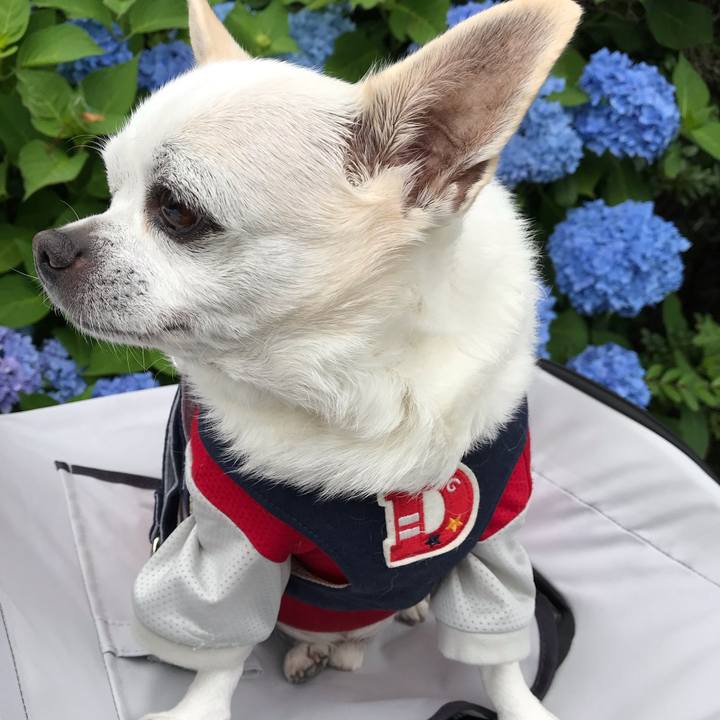 474b2cfd 7fec 4aa5 9b16 6c3265fd8a68 1597059447974