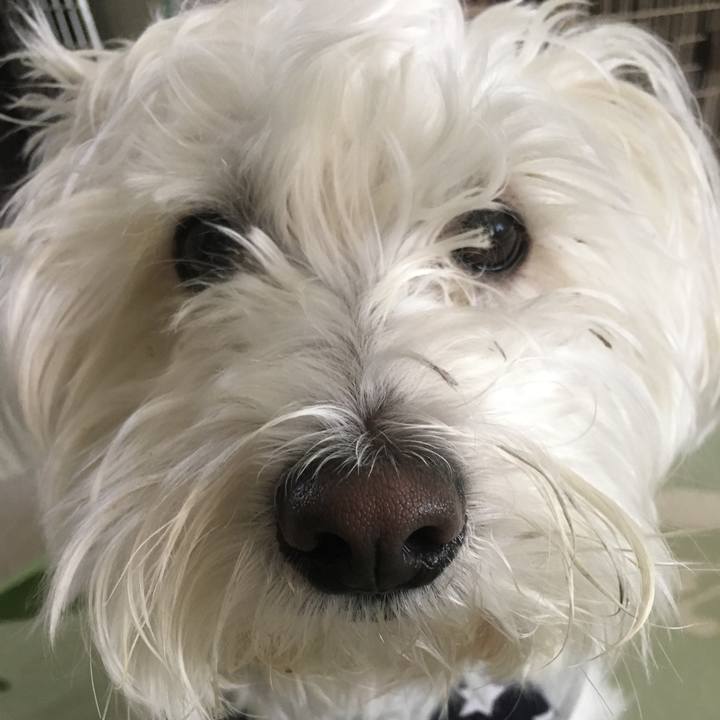 474b2d71 6955 4ee6 a29e 97da7560b0a9 1559153271462