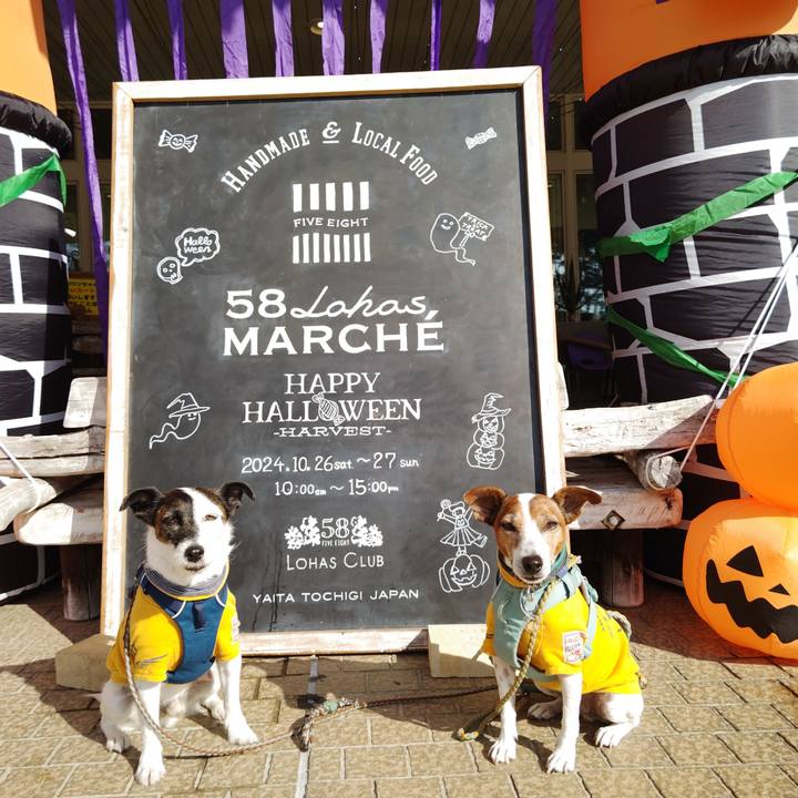 474b3b8a d161 4644 b31d 2bd9c45ff42b 1730021046308