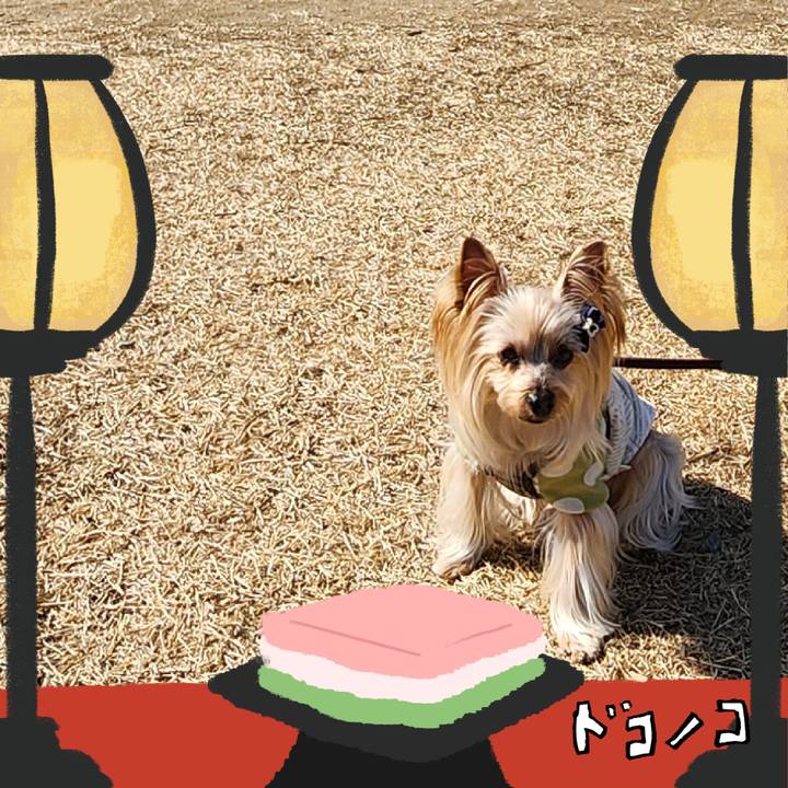 474b56c2 fbe1 4dd2 9e0b 833431ec4452 1741093075423