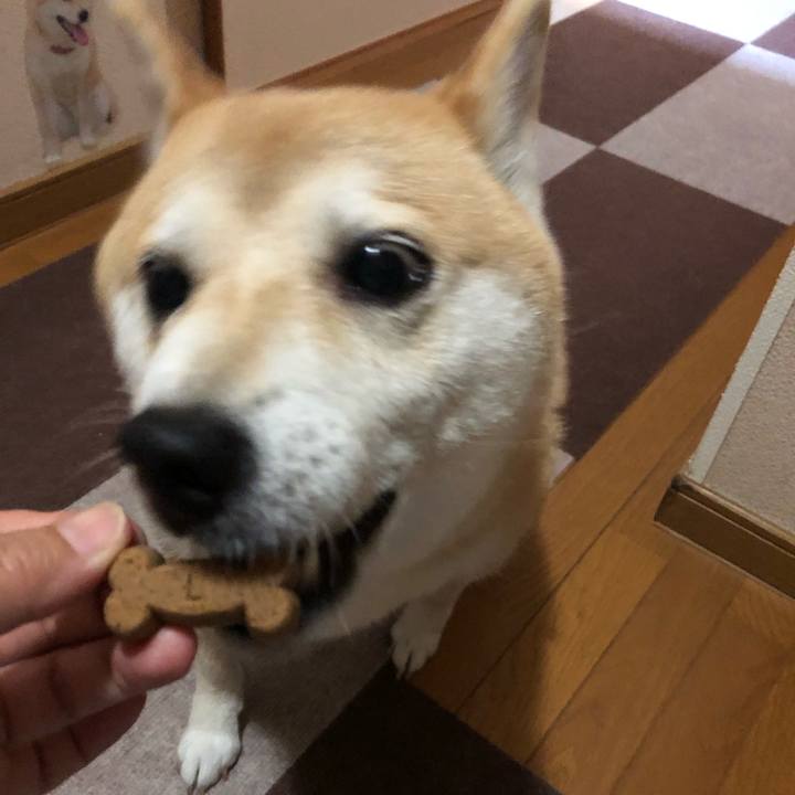 474b9d1e aa73 4527 9549 fc2ba76cdd96 1562222767336