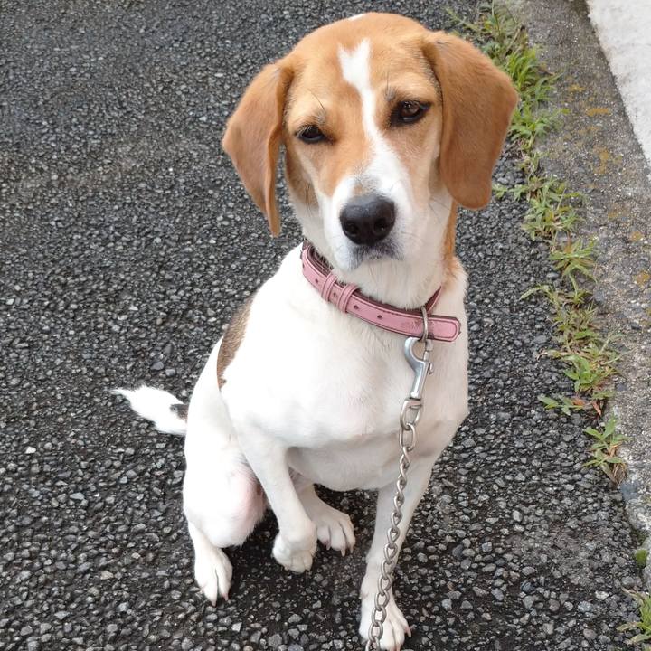 474bc9fb 112d 479d 970f 8d3a3f7e4d12 1594358397084