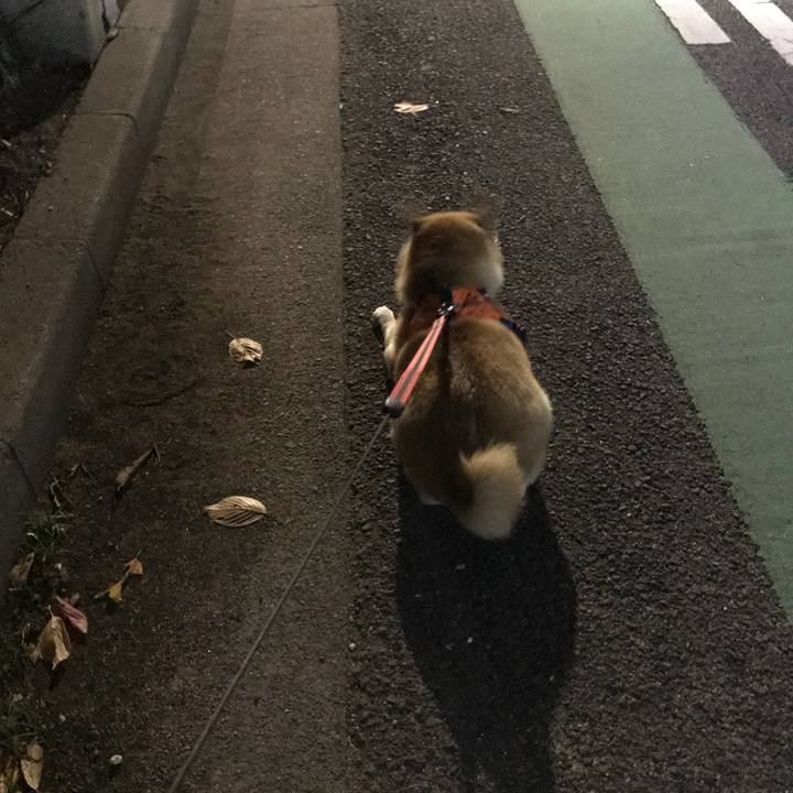 474c4251 d7f4 44f6 9a96 08ad8e0b52eb 1512561439607