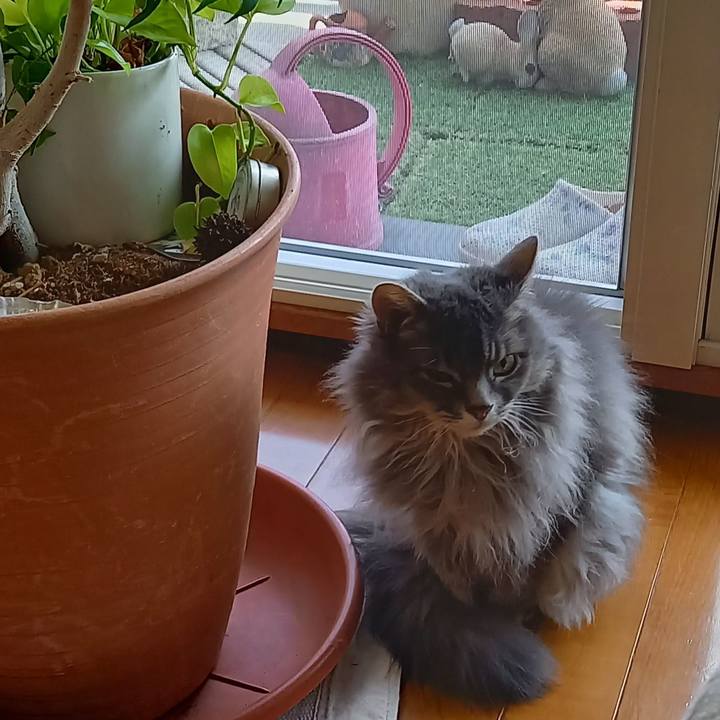 474c469c 0461 4c03 9da2 dcc5854c15b7 1623961451883