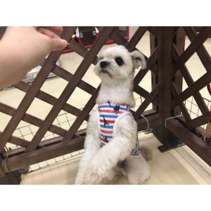 474c7cd4 2ad4 406d 82d3 ab5eee47e18f 1537267046905