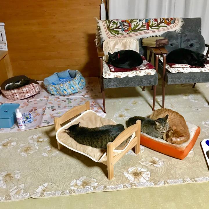 474cc556 0f87 475c a3be 161fc789fdff 1539518259824