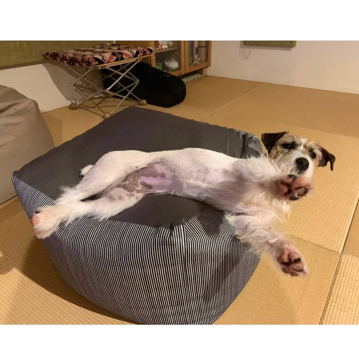 474cd1b8 dcb4 46b6 a6bc 9de88aa13cb5 1587655208682