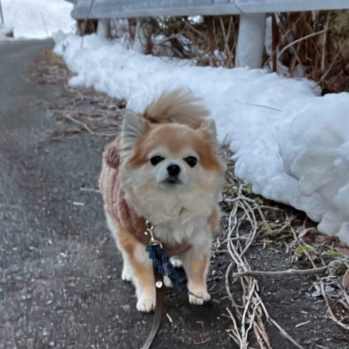 474cd32f 2d46 42fa 99d7 91c10840cf4e 1766996669803