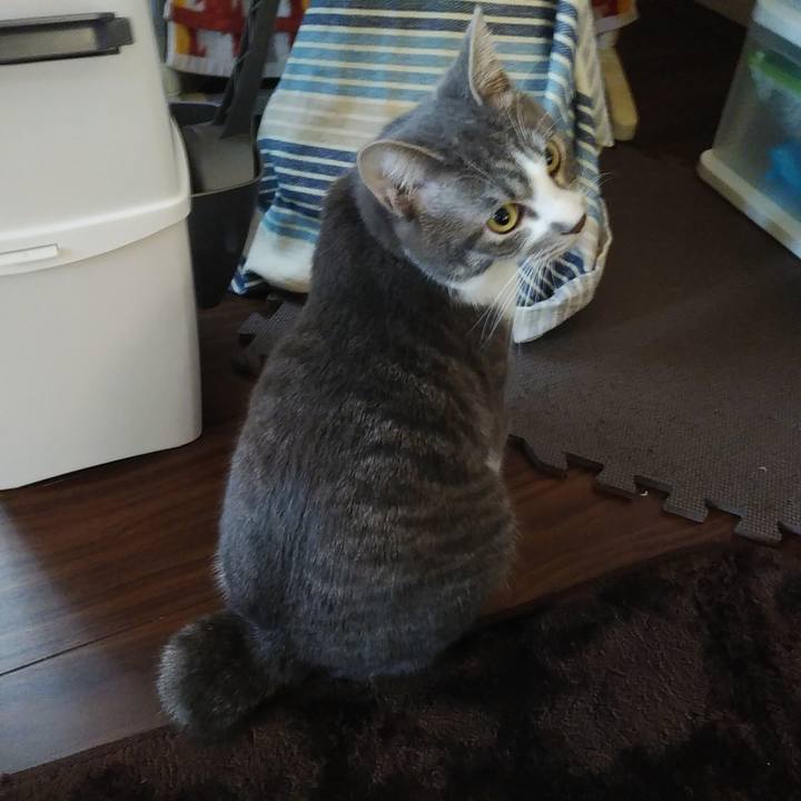 474d2634 176a 42eb 91eb f59f9e4f919c 1579129149153