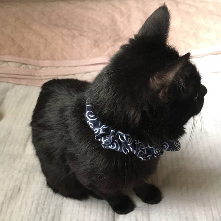 474d299a c2ea 4716 91a2 be7414eb81d8 1552426204863