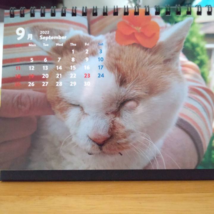 474d3543 b48b 4e7c 8520 99cf9021d336 1663383748752